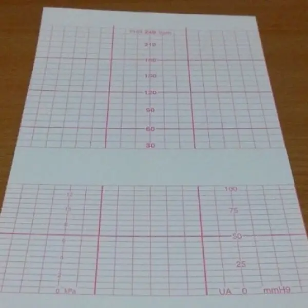 CTG Paper Bistos BT 350