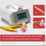 Multi-Functional Laser Therapy Device